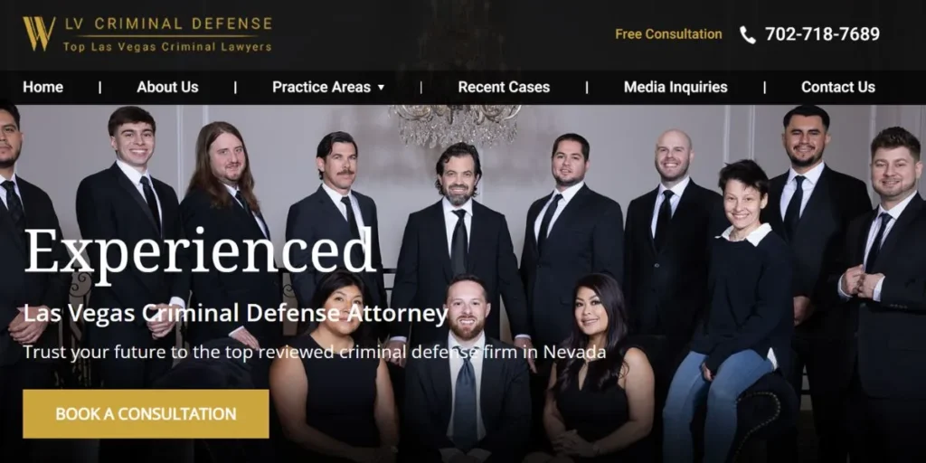 Criminal Defense Lawyers