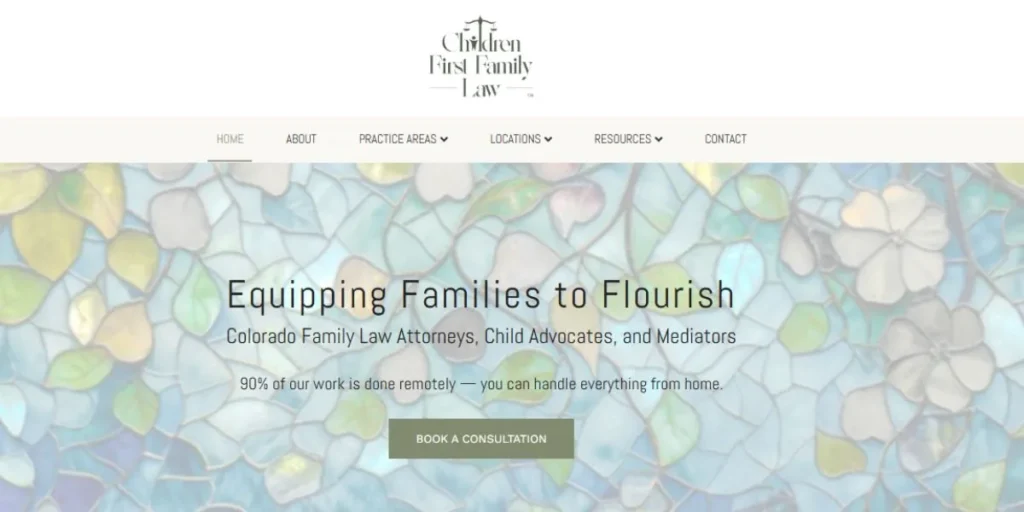 Child Custody Lawyers in Colorado